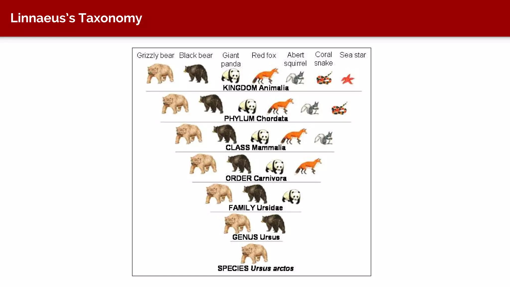 Dynamic Display of Information
 