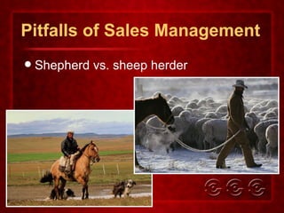 Pitfalls of Sales Management Shepherd vs. sheep herder 