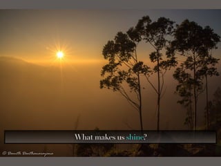 What makes us shine?
 