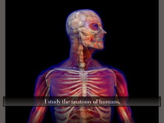 I study the anatomy of humans,
 