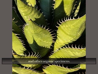 and other organic specimens.
 