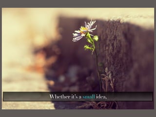 Whether it’s a small idea,
 