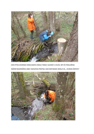 OVA PITKA IZVORSKA VODA (KAKVU IMAJU TANJA I SLAVKO I U KUĆI) BITI ĆE POSLUŽENA
NAŠEM NAJDRAŽEM, BABI I NJEGOVOJ PRATNJI, KAO DAR MAJKE ZEMLJE SA „ VILINOG ŠAPATA“
 