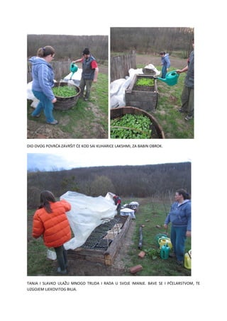 DIO OVOG POVRĆA ZAVRŠIT ĆE KOD SAI KUHARICE LAKSHMI, ZA BABIN OBROK.
TANJA I SLAVKO ULAŽU MNOGO TRUDA I RADA U SVOJE IMANJE. BAVE SE I PČELARSTVOM, TE
UZGOJEM LJEKOVITOG BILJA.
 