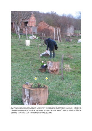 OVI PANJEVI S NARCISAMA „DOLAZE U POSJETU“ U PREDVORJE DVORANE ZA DARSHAN I BIT ĆE DIO
CVJETNE DEKORACIJE ZA SVAMIJA. (PITAO ME SLAVKO DA LI DA NARUČI ŠLEPER, AKO SE JOŠ ČEGA
SJETIMO – SHVATILA SAM – UVODIM STROP NAD ŽELJAMA)
 