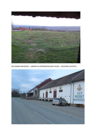 EKO IMANJE MAVROVIĆ – LABIRINT SA ZAČINSKIM BILJEM I SILOSI – USPAVANE LJEPOTICE
 