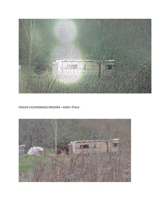 POGLED S KUPAONSKOG PROZORA – KONJI I ŠTALA
 