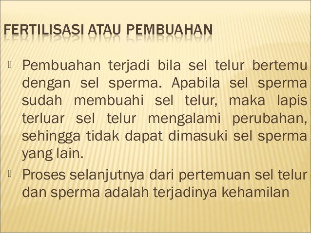Talk Show Pengenalan Diri