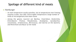 Spoilage of different kind of meats
 Hamburger
 At room temperature usually putrefies, but at temperatures near freezing
acquires a stale, sour odor, and at higher temperature a large number of
kinds of microorganisms have been found
 Among the genera reported are Bacillus, Clostridium, Escherichia,
Enterobacter, Proteus, Pseudomonas, Alcaligenes, Lactobacillus,
Leuconostoc, streptococcus, Micrococcus, and Sarcina of the bacteria,
and Penicillium and Mucor of the molds
 