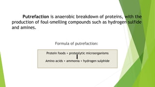 Putrefaction is anaerobic breakdown of proteins, with the
production of foul-smelling compounds such as hydrogen sulfide
and amines.
Formula of putrefaction:
Protein foods + proteolytic microorganisms
Amino acids + ammonia + hydrogen sulphide
 