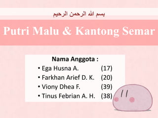 Putri Malu & Kantong Semar
Nama Anggota :
• Ega Husna A. (17)
• Farkhan Arief D. K. (20)
• Viony Dhea F. (39)
• Tinus Febrian A. H. (38)
‫الرحيم‬ ‫الرحمن‬ ‫هللا‬ ‫بسم‬
 