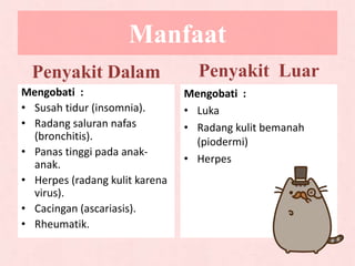 Manfaat
Penyakit Dalam
Mengobati :
• Susah tidur (insomnia).
• Radang saluran nafas
(bronchitis).
• Panas tinggi pada anak-
anak.
• Herpes (radang kulit karena
virus).
• Cacingan (ascariasis).
• Rheumatik.
Penyakit Luar
Mengobati :
• Luka
• Radang kulit bemanah
(piodermi)
• Herpes
 