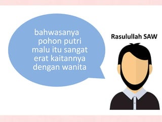 bahwasanya
pohon putri
malu itu sangat
erat kaitannya
dengan wanita
Rasulullah SAW
 