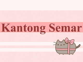 Kantong Semar
 