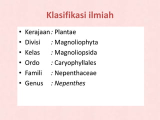 Klasifikasi ilmiah
• Kerajaan: Plantae
• Divisi : Magnoliophyta
• Kelas : Magnoliopsida
• Ordo : Caryophyllales
• Famili : Nepenthaceae
• Genus : Nepenthes
 