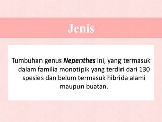 Jenis
Tumbuhan genus Nepenthes ini, yang termasuk
dalam familia monotipik yang terdiri dari 130
spesies dan belum termasuk hibrida alami
maupun buatan.
 