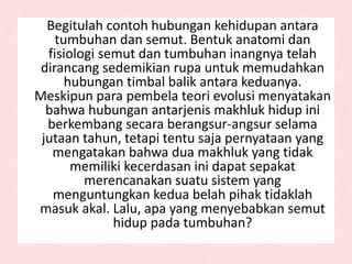 Begitulah contoh hubungan kehidupan antara
tumbuhan dan semut. Bentuk anatomi dan
fisiologi semut dan tumbuhan inangnya telah
dirancang sedemikian rupa untuk memudahkan
hubungan timbal balik antara keduanya.
Meskipun para pembela teori evolusi menyatakan
bahwa hubungan antarjenis makhluk hidup ini
berkembang secara berangsur-angsur selama
jutaan tahun, tetapi tentu saja pernyataan yang
mengatakan bahwa dua makhluk yang tidak
memiliki kecerdasan ini dapat sepakat
merencanakan suatu sistem yang
menguntungkan kedua belah pihak tidaklah
masuk akal. Lalu, apa yang menyebabkan semut
hidup pada tumbuhan?
 