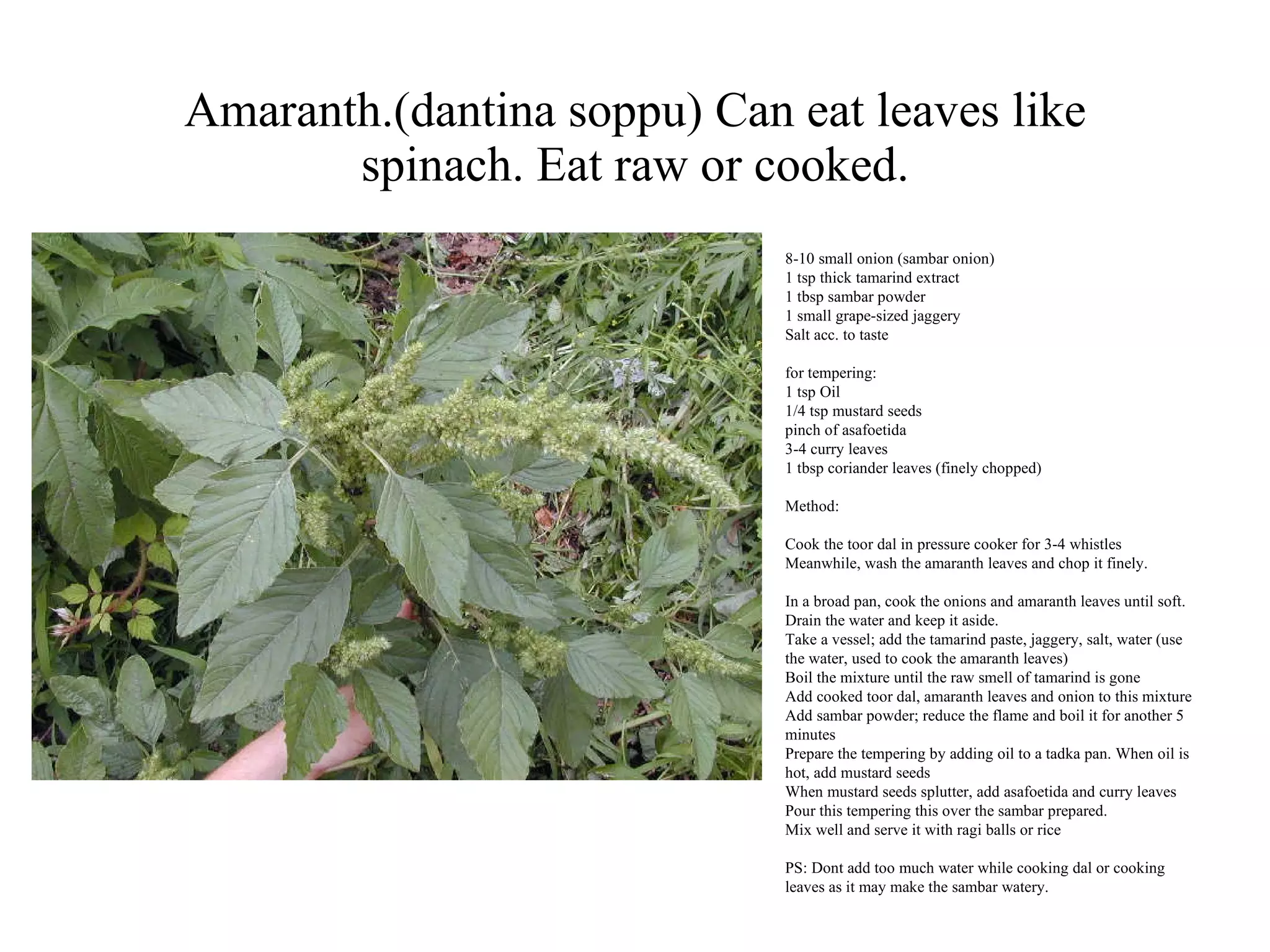 Nelanelli soppu Puttamma says it has medicinal value as well .She is happy that she gets 10 rupees for the bunch Used as medicine as well as food 