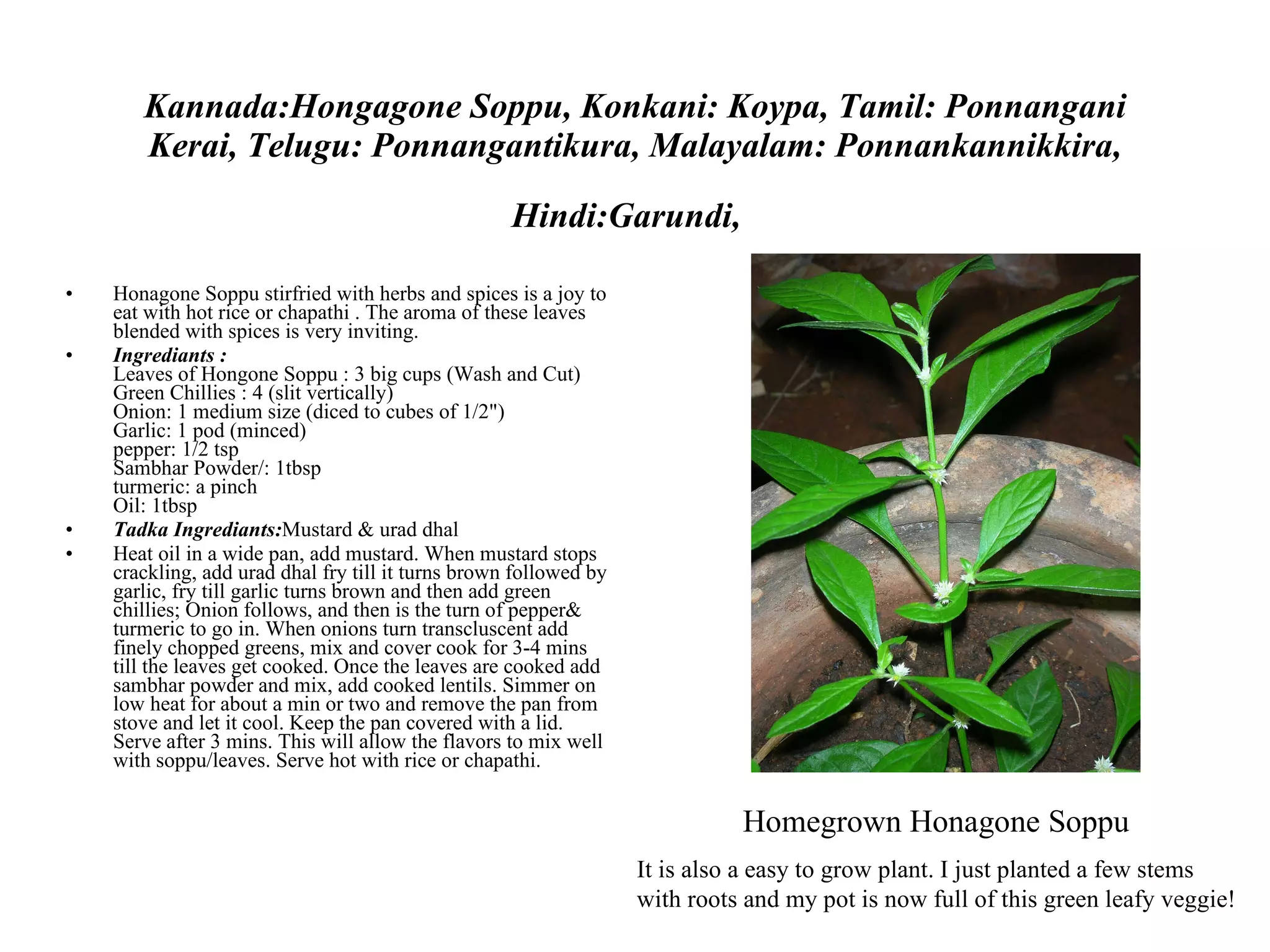 Kudgelidi soppu Berke soppu  is bunch of  leaves from various edible plants  Collectively they add diversity and flavor to the diet while providing protein, energy, vitamins and essential minerals.  Most of the available edible leaves are being  used as  Berke soppu. Free Lunch (and Dinner)! 