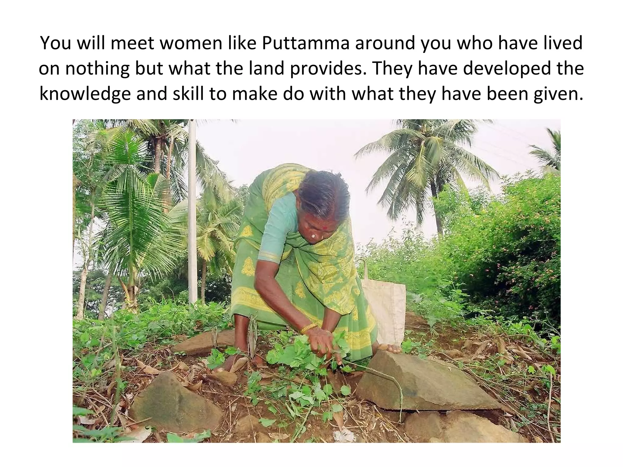 Amaranth.(dantina soppu) Can eat leaves like spinach. Eat raw or cooked. 8-10 small onion (sambar onion) 1 tsp thick tamarind extract 1 tbsp sambar powder 1 small grape-sized jaggery Salt acc. to taste for tempering: 1 tsp Oil 1/4 tsp mustard seeds pinch of asafoetida 3-4 curry leaves 1 tbsp coriander leaves (finely chopped) Method: Cook the toor dal in pressure cooker for 3-4 whistles  Meanwhile, wash the amaranth leaves and chop it finely. In a broad pan, cook the onions and amaranth leaves until soft. Drain the water and keep it aside.  Take a vessel; add the tamarind paste, jaggery, salt, water (use the water, used to cook the amaranth leaves)  Boil the mixture until the raw smell of tamarind is gone  Add cooked toor dal, amaranth leaves and onion to this mixture  Add sambar powder; reduce the flame and boil it for another 5 minutes  Prepare the tempering by adding oil to a tadka pan. When oil is hot, add mustard seeds  When mustard seeds splutter, add asafoetida and curry leaves  Pour this tempering this over the sambar prepared.  Mix well and serve it with ragi balls or rice PS: Dont add too much water while cooking dal or cooking leaves as it may make the sambar watery.  