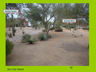 16
Sun City Grand
Adobe Center
Sunrise Blvd
 