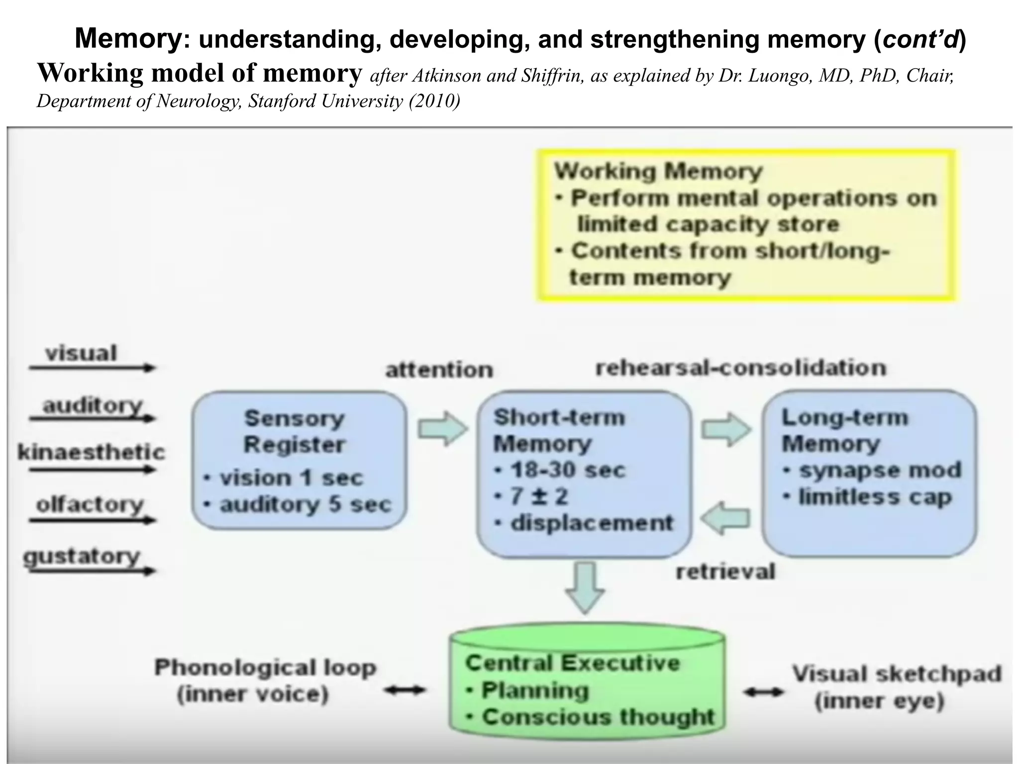 Memory: understanding, developing, and strengthening memory (cont’d)
Working model of memory after Atkinson and Shiffrin, as explained by Dr. Luongo, MD, PhD, Chair,
Department of Neurology, Stanford University (2010)
 