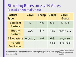 Pasture
Type
Cows Sheep Goats Cows +
Goats
Excellent
Pasture
1 5-6 6-8 1 + 1-2
Brushy
Pasture
0.75 6-7 9-11 0.75 + 2-4
Silvopasture 0.5-0.75 4-6 6-8 0.5 + 2-4
*Brush
Eradication
9-15 0.5 + 6-8
Stocking Rates on 2-2 ½ Acres
(based on Animal Units)
*Sheep can also be used for brush clearing though it may take longer
than for goats.
Slide by Dennis Hancock
(UGA Forage Specialist),
modified
 
