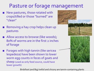Pasture or forage management
■ New pastures, those rotated with
crops/tilled or those “burned” are
“clean”
■ Removing a hay crop helps clean up
pastures
■ Allow access to browse (like woods);
80% of worms are in the first 2 inches
of forage
■ Forages with high tannin (like sericea
lespedeza) have been shown to lower
worm egg counts in feces of goats and
sheep (used as only feed source, could have
lower growth)
Birdsfoot (and Big) trefoil and chicory are tannin-containing plants
 