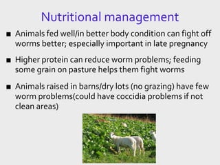 Nutritional management
■ Animals fed well/in better body condition can fight off
worms better; especially important in late pregnancy
■ Higher protein can reduce worm problems; feeding
some grain on pasture helps them fight worms
■ Animals raised in barns/dry lots (no grazing) have few
worm problems(could have coccidia problems if not
clean areas)
 