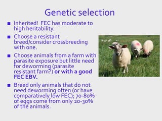 Genetic selection
■ Inherited! FEC has moderate to
high heritability.
■ Choose a resistant
breed/consider crossbreeding
with one.
■ Choose animals from a farm with
parasite exposure but little need
for deworming (parasite
resistant farm?) or with a good
FEC EBV.
■ Breed only animals that do not
need deworming often (or have
comparatively low FEC); 70-80%
of eggs come from only 20-30%
of the animals.
 