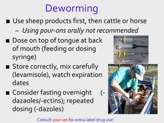 Deworming
■ Use sheep products first, then cattle or horse
– Using pour-ons orally not recommended
■ Dose on top of tongue at back
of mouth (feeding or dosing
syringe)
■ Store correctly, mix carefully
(levamisole), watch expiration
dates
■ Consider fasting overnight (-
dazaoles/-ectins); repeated
dosing (-dazoles)
Consult your vet for extra-label drug use!
 