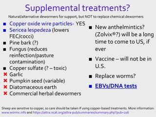 Supplemental treatments?
■ Copper oxide wire particles- YES
■ Sericea lespedeza (lowers
FEC/cocci)
■ Pine bark (?)
■ Fungus (reduces
reinfection/pasture
contamination)
■ Copper sulfate (? – toxic)
 Garlic
 Pumpkin seed (variable)
 Diatomaceous earth
 Commercial herbal dewormers
■ New anthelmintics?
(Zolvix®?) will be a long
time to come to US, if
ever
■ Vaccine – will not be in
U.S.
■ Replace worms?
■ EBVs/DNA tests
Sheep are sensitive to copper, so care should be taken if using copper-based treatments. More information:
www.wormx.info and https://attra.ncat.org/attra-pub/summaries/summary.php?pub=216
Natural/alternative dewormers for support, but NOT to replace chemical dewormers
 