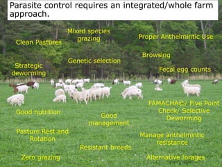 Parasite control requires an integrated/whole farm
approach.
Pasture Rest and
Rotation
Strategic
deworming
Fecal egg counts
Mixed species
grazing
Alternative forages
Good nutrition
Zero grazing
Genetic selection
Manage anthelmintic
resistance
Browsing
Resistant breeds
Good
management
FAMACHA©/ Five Point
Check/ Selective
Deworming
Proper Anthelmintic Use
Clean Pastures
 