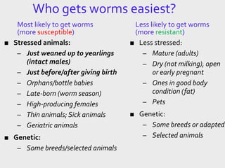 Who gets worms easiest?
Most likely to get worms
(more susceptible)
■ Stressed animals:
– Just weaned up to yearlings
(intact males)
– Just before/after giving birth
– Orphans/bottle babies
– Late-born (worm season)
– High-producing females
– Thin animals; Sick animals
– Geriatric animals
■ Genetic:
– Some breeds/selected animals
Less likely to get worms
(more resistant)
■ Less stressed:
– Mature (adults)
– Dry (not milking), open
or early pregnant
– Ones in good body
condition (fat)
– Pets
■ Genetic:
– Some breeds or adapted
– Selected animals
 