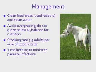 Management
■ Clean feed areas (used feeders)
and clean water
■ Avoid overgrazing; do not
graze below 6”/balance for
nutrition
■ Stocking rate 3-5 adults per
acre of good forage
■ Time birthing to minimize
parasite infections
 