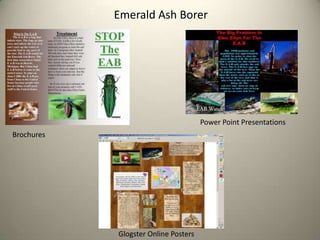 Emerald Ash Borer

Power Point Presentations

Brochures

Glogster Online Posters

 