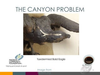 THE CANYON PROBLEM
Image from
MOMA.org
Taxidermied Bald Eagle
79
 