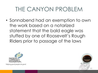 THE CANYON PROBLEM
• Sonnabend had an exemption to own
the work based on a notarized
statement that the bald eagle was
stuffed by one of Roosevelt’s Rough
Riders prior to passage of the laws
83
 