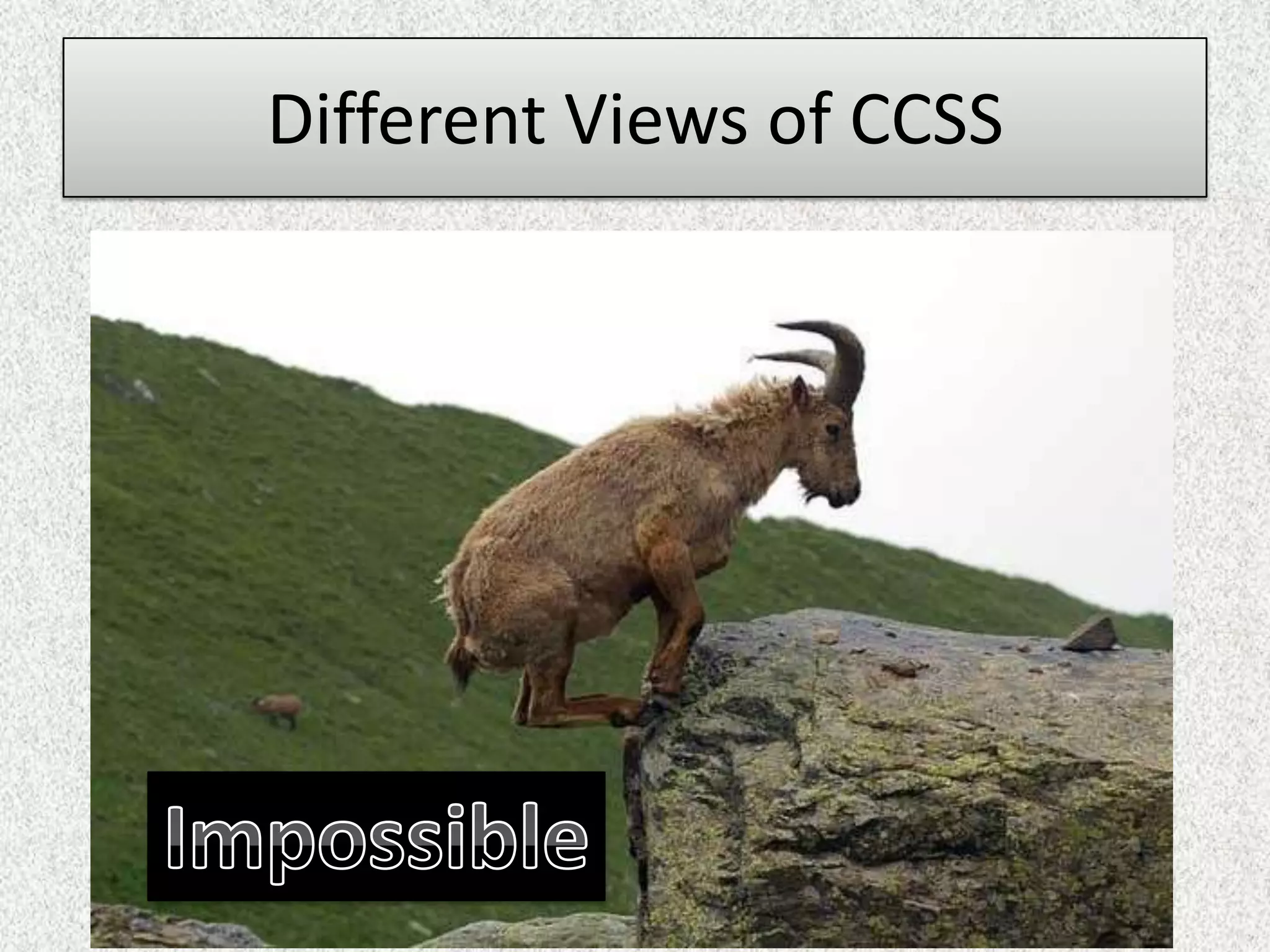 Different Views of CCSS
 