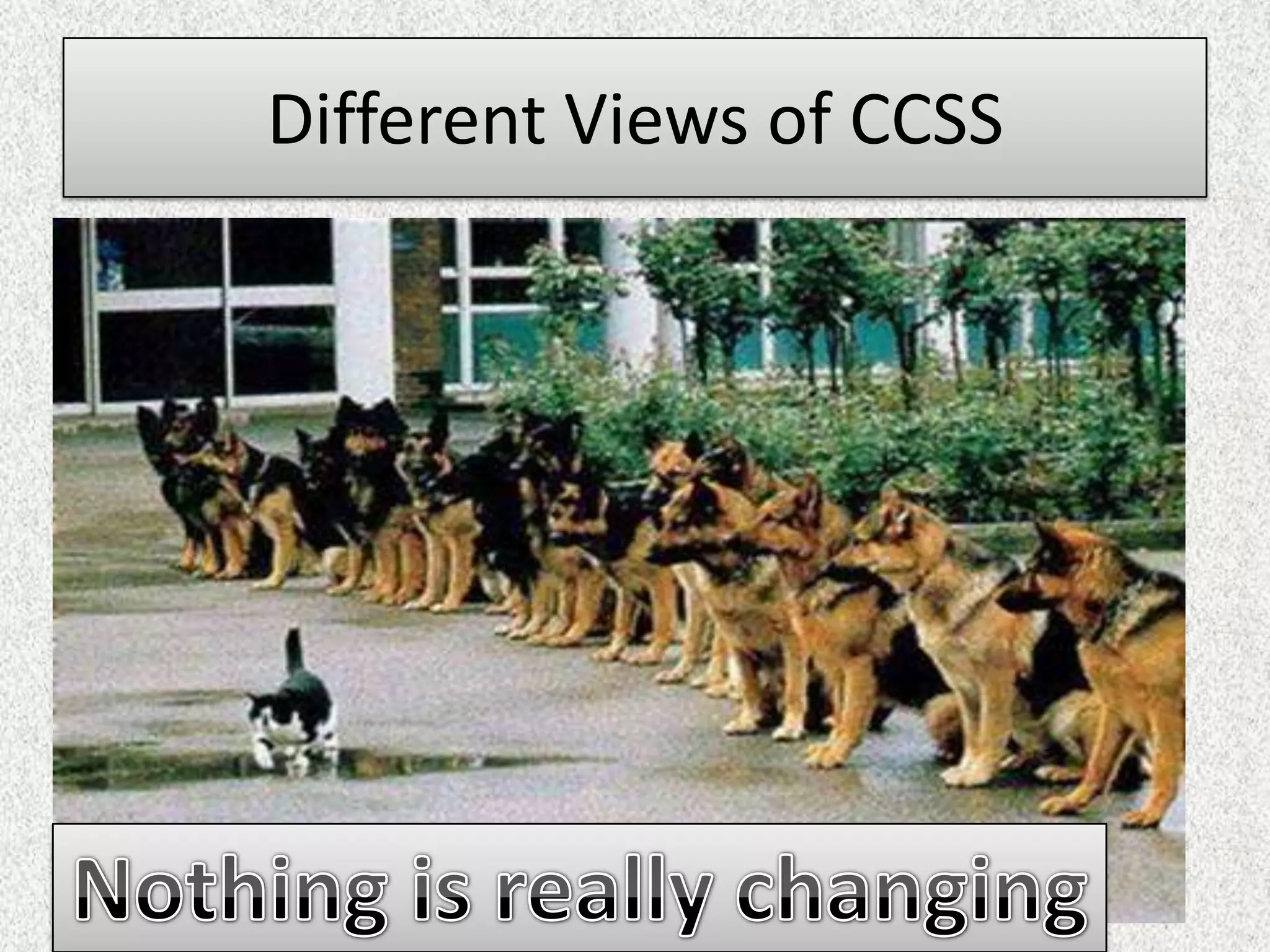 Different Views of CCSS
 