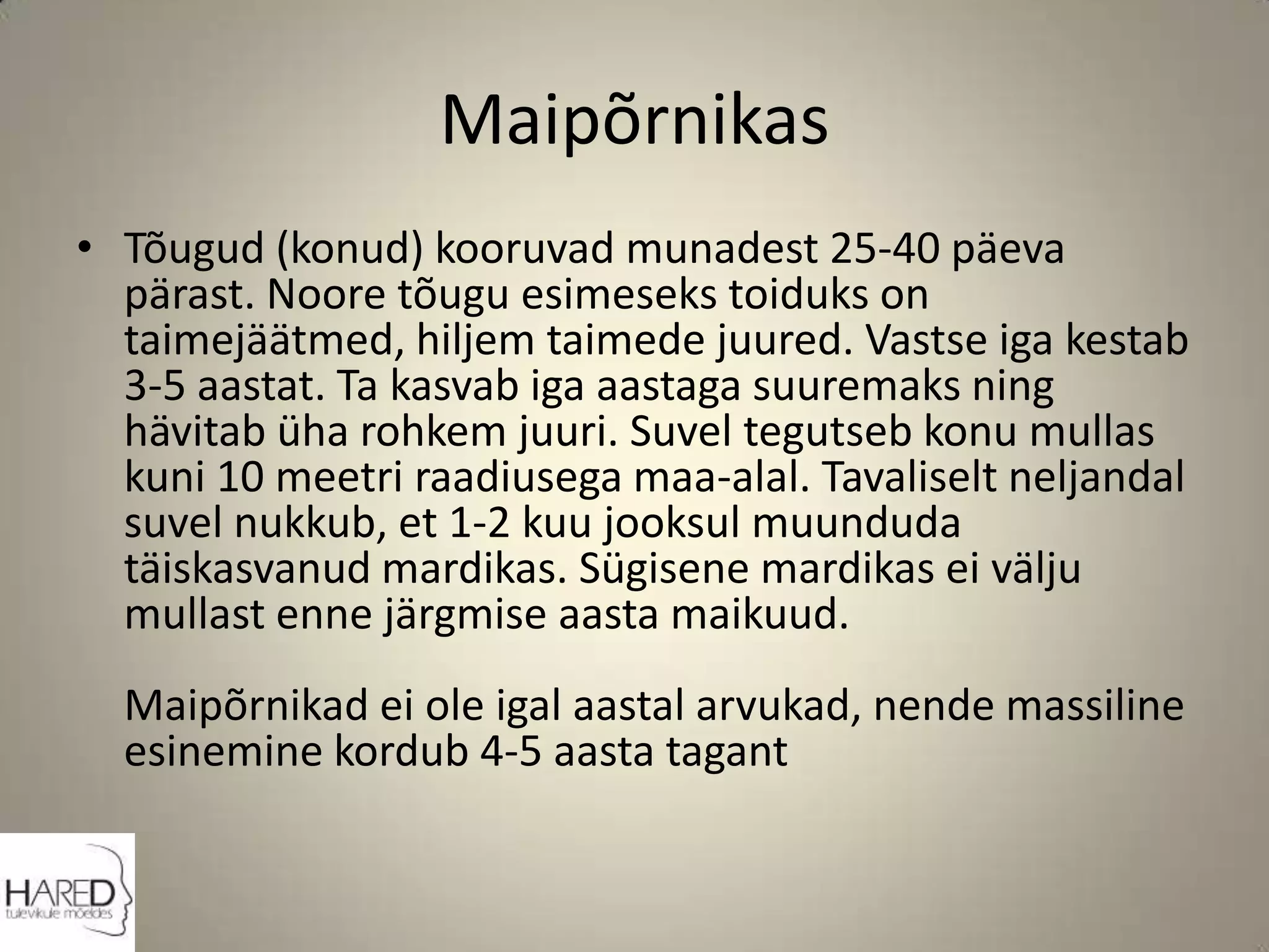 MaipõrnikasTõugud (konud) kooruvad munadest 25-40 päeva pärast. Noore tõugu esimeseks toiduks on taimejäätmed, hiljem taimede juured. Vastse iga kestab 3-5 aastat. Ta kasvab iga aastaga suuremaks ning hävitab üha rohkem juuri. Suvel tegutseb konu mullas kuni 10 meetri raadiusega maa-alal. Tavaliselt neljandal suvel nukkub, et 1-2 kuu jooksul muunduda täiskasvanud mardikas. Sügisene mardikas ei välju mullast enne järgmise aasta maikuud.Maipõrnikad ei ole igal aastal arvukad, nende massiline esinemine kordub 4-5 aasta tagant