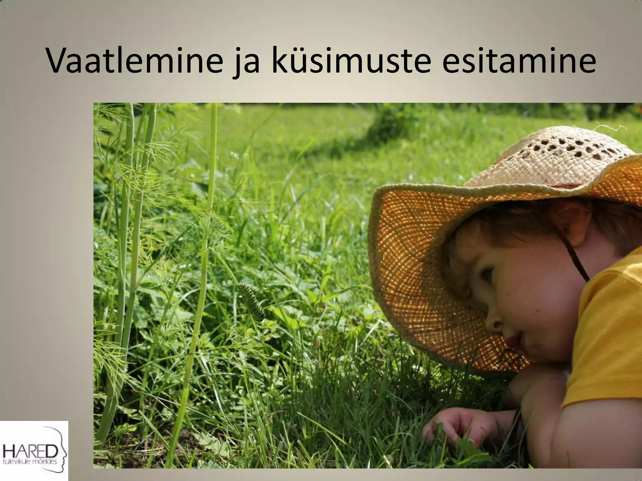 Vaatlemine ja küsimuste esitamine