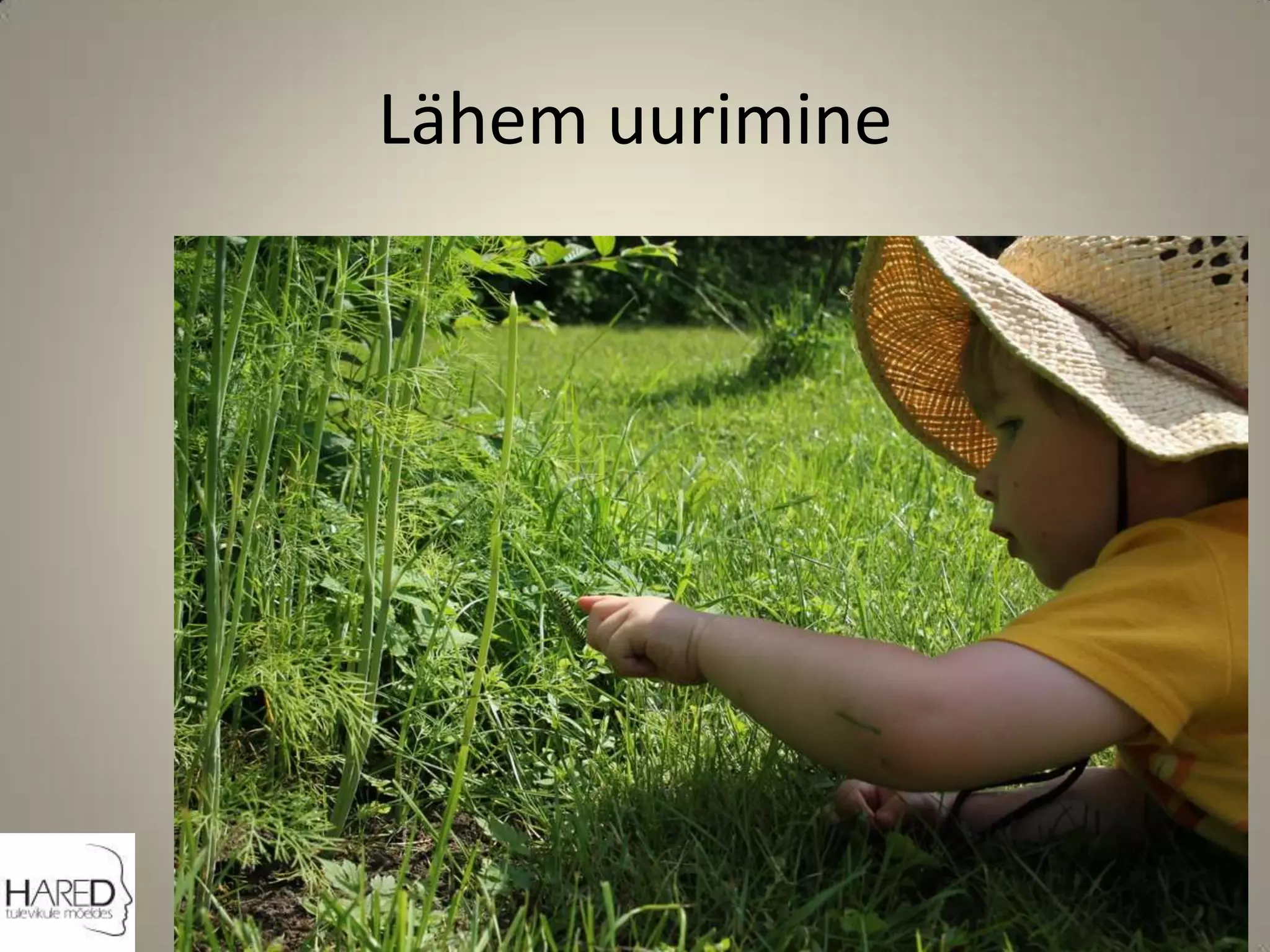 Lähem uurimine