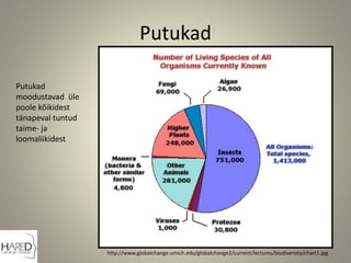 Putukad
http://www.globalchange.umich.edu/globalchange2/current/lectures/biodiversity/chart1.jpg
Putukad
moodustavad üle
poole kõikidest
tänapeval tuntud
taime- ja
loomaliikidest
 