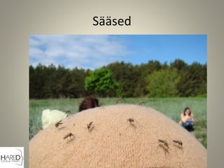 ää
 
