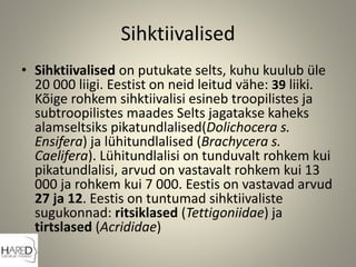 Sihktiivalised
• Sihktiivalised on putukate selts, kuhu kuulub üle
20 000 liigi. Eestist on neid leitud vähe: 39 liiki.
Kõige rohkem sihktiivalisi esineb troopilistes ja
subtroopilistes maades Selts jagatakse kaheks
alamseltsiks pikatundlalised(Dolichocera s.
Ensifera) ja lühitundlalised (Brachycera s.
Caelifera). Lühitundlalisi on tunduvalt rohkem kui
pikatundlalisi, arvud on vastavalt rohkem kui 13
000 ja rohkem kui 7 000. Eestis on vastavad arvud
27 ja 12. Eestis on tuntumad sihktiivaliste
sugukonnad: ritsiklased (Tettigoniidae) ja
tirtslased (Acrididae)
 