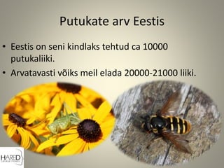 Putukate arv Eestis
• Eestis on seni kindlaks tehtud ca 10000
putukaliiki.
• Arvatavasti võiks meil elada 20000-21000 liiki.
 