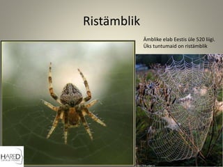 Ristämblik
Ämblike elab Eestis üle 520 liigi.
Üks tuntumaid on ristämblik
 