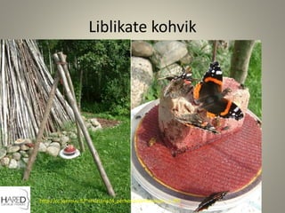 Liblikate kohvik
http://cc.joensuu.fi/~ehuttune/d_perhosia/perhosbaari_e.JPG
 