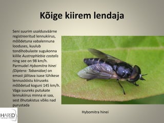 Kõige kiirem lendaja
Seni suurim usaldusväärne
registreeritud lennukiirus,
mõõdetuna vabalennuna
looduses, kuulub
tondihobulaste sugukonna
kiilile Austrophlebia costalis
ning see on 98 km/h.
Parmudel Hybomitra hinei
(Diptera: Tabanidae) on
emast jälitava isase lühikese
lennusööstu kiiruseks
mõõdetud koguni 145 km/h.
Väga suureks putukate
lennukiirus minna ei saa,
sest õhutakistus võiks nad
purustada
Hybomitra hinei
 